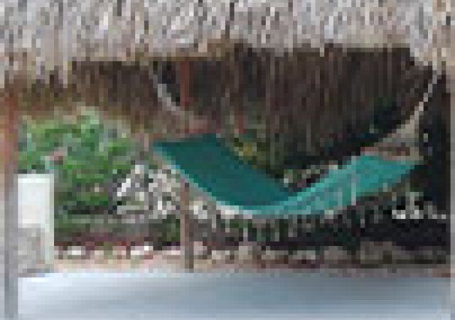 instagram-posts-img-2