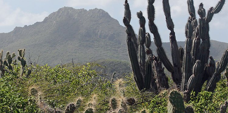 Christoffel National Park